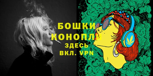 первитин Михайлов