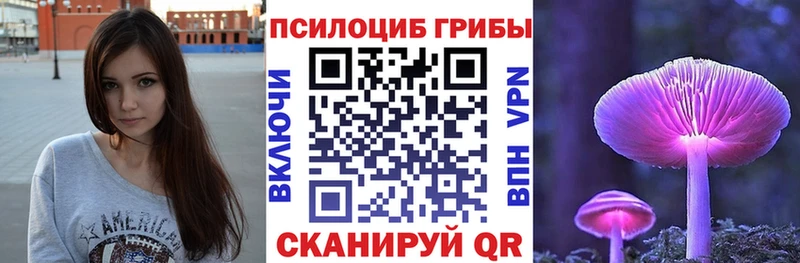 Псилоцибиновые грибы мицелий  Чаплыгин 